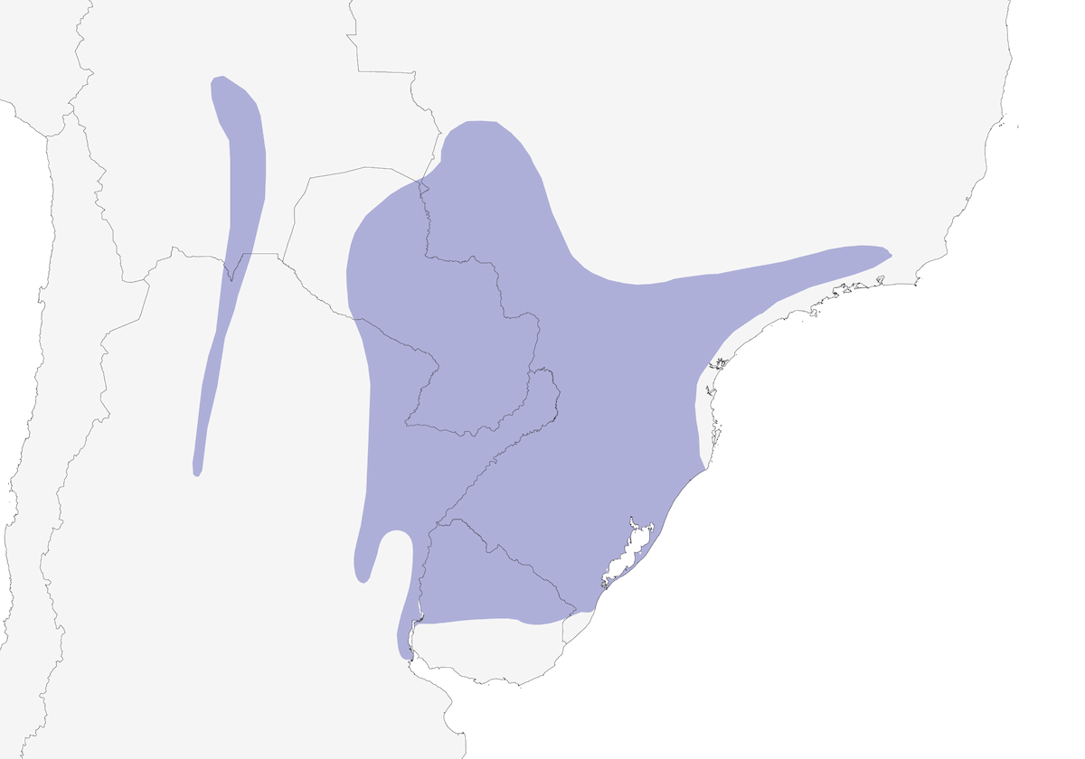 Golden-winged Cacique, Distribution 1