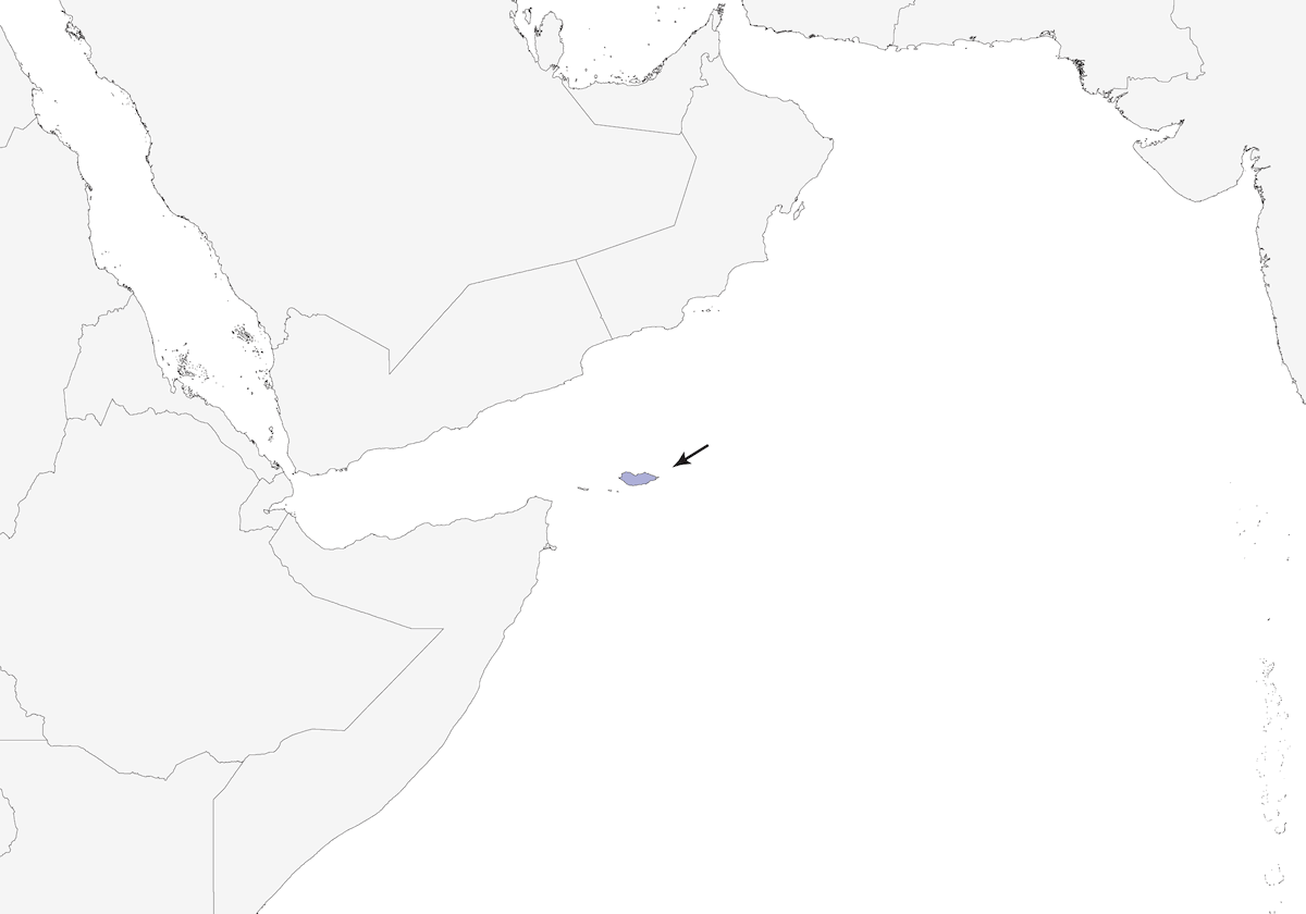 Picogordo de Socotra, Distribución 1