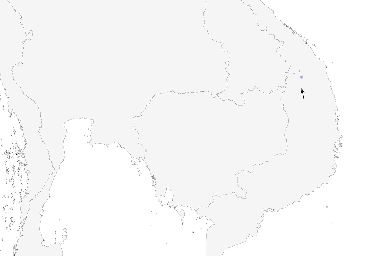 Golden-winged Laughingthrush, Distribution 1