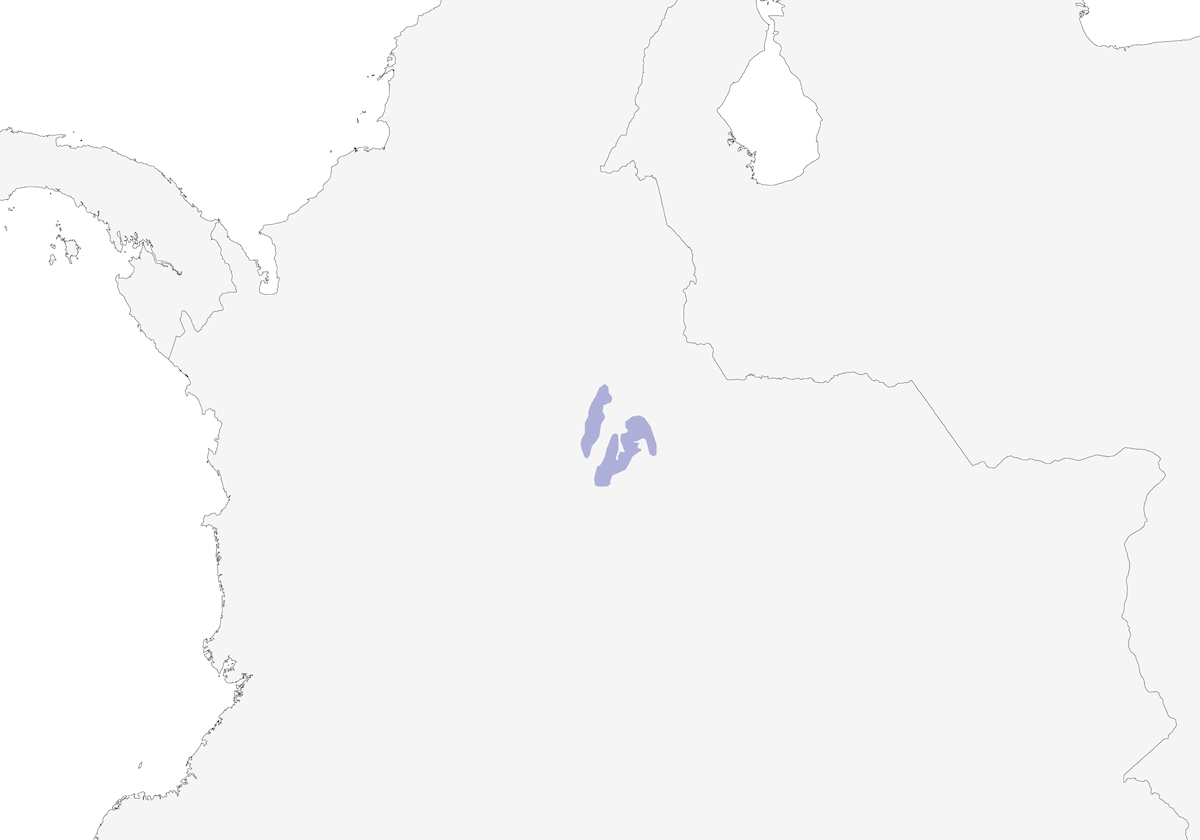 Codorniz Gorguera, Distribución 1