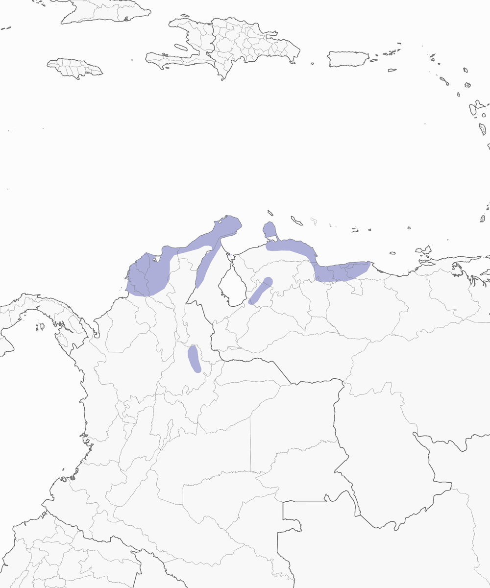 Arremón alidorado, Distribución 1