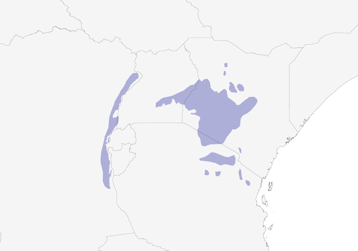 Golden-winged Sunbird, Distribution 1