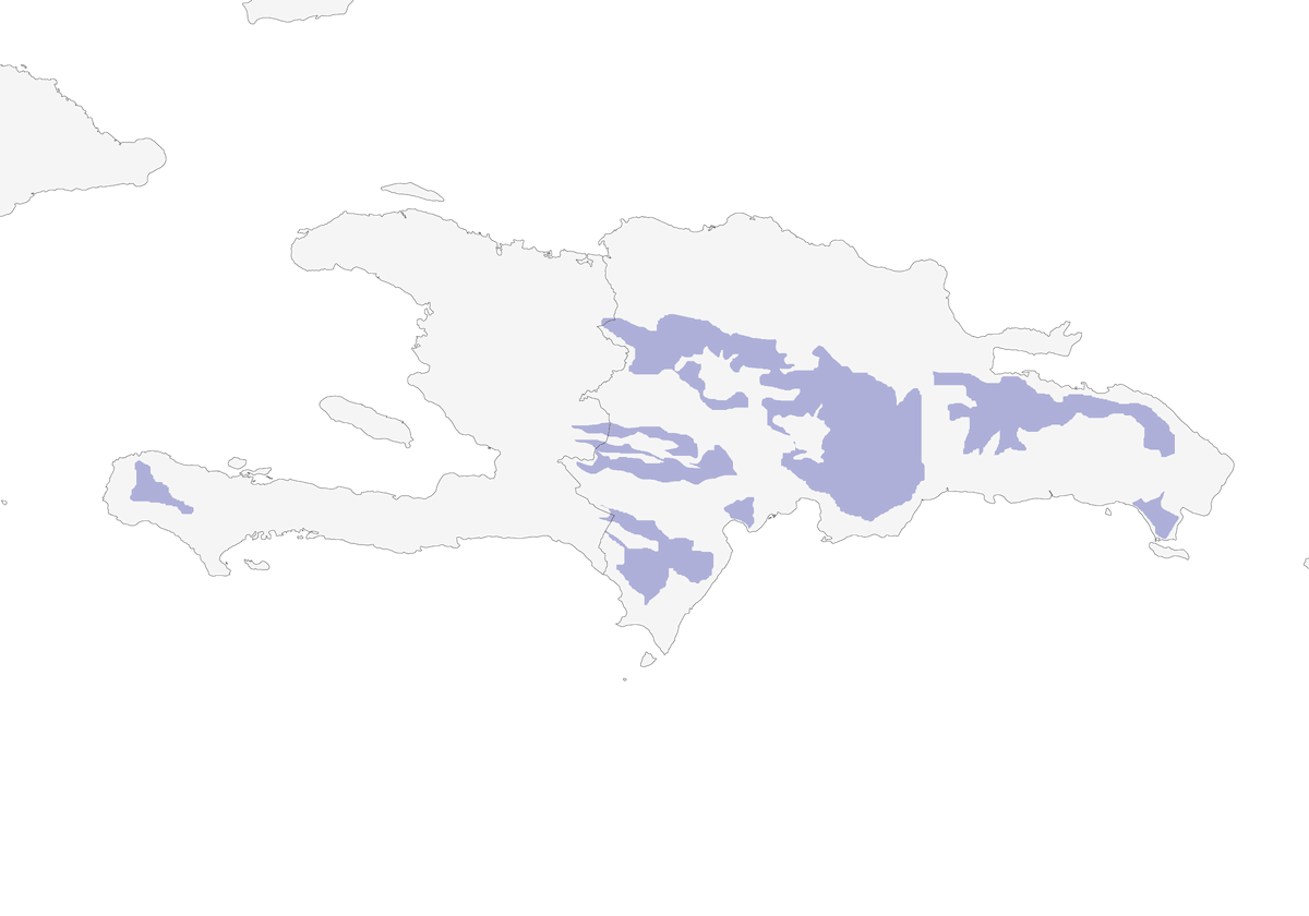 Succiacapre di Hispaniola, Distribuzione 1
