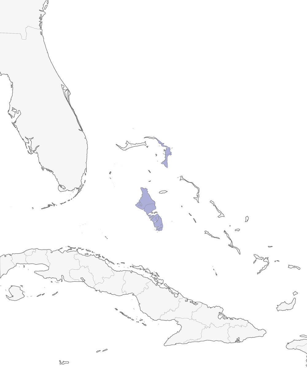 Bahama-Pirol, Verbreitung 1