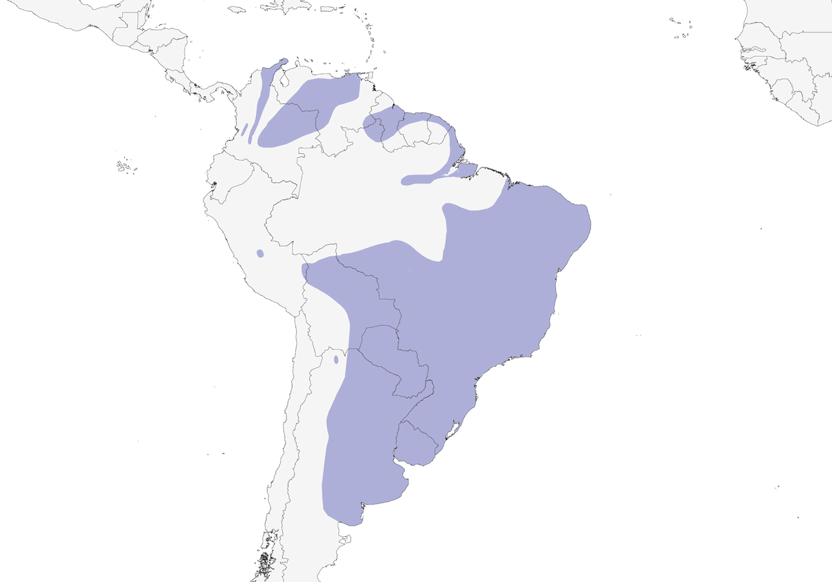 Gorrión sabanero, Distribución 1