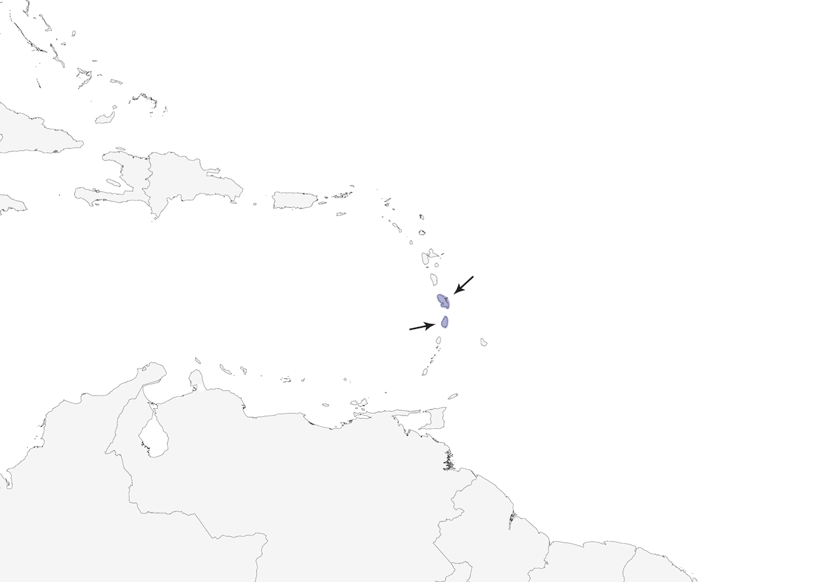 Temblador gris, Distribución 1