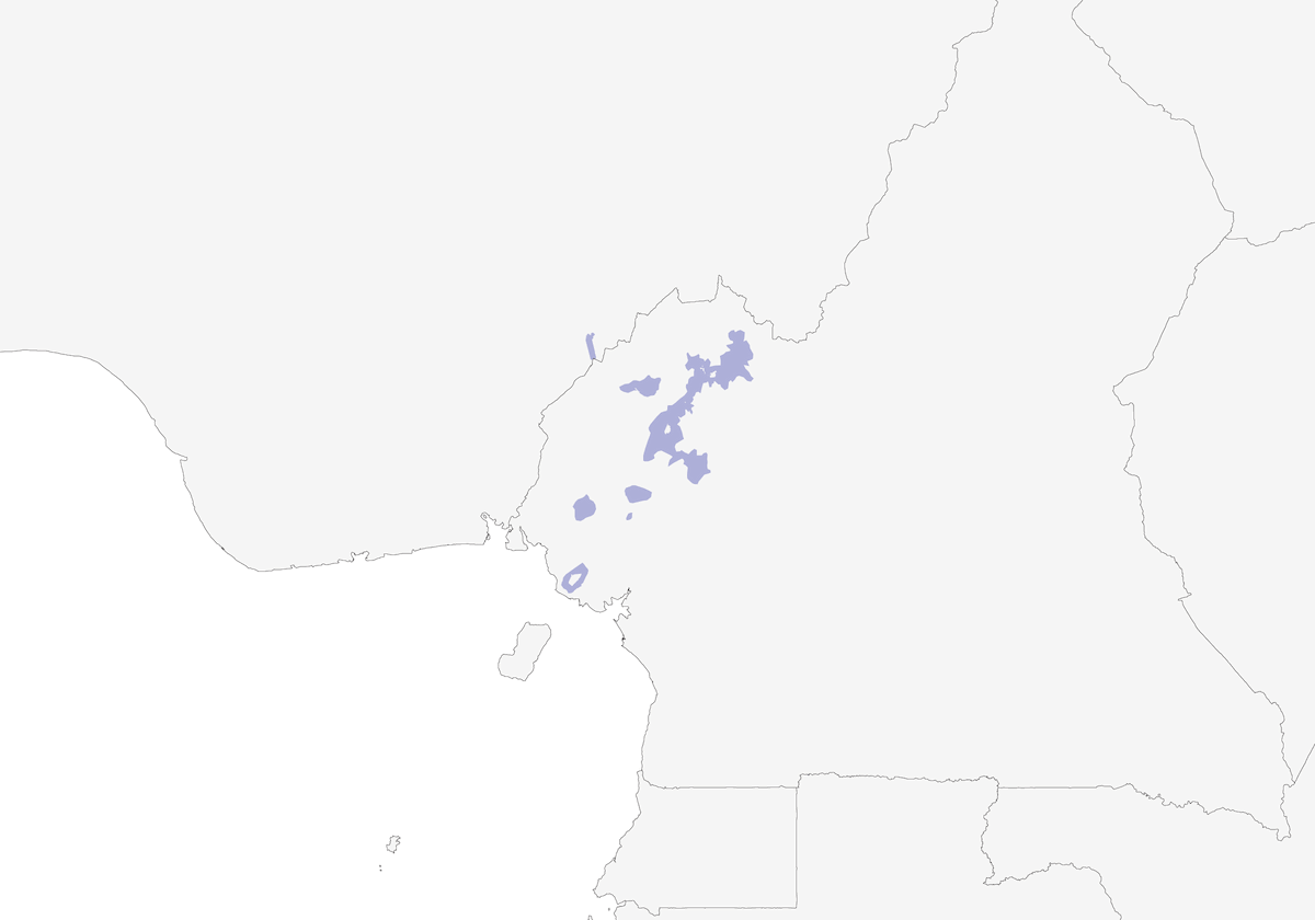 Green-breasted Bushshrike, Distribution 1