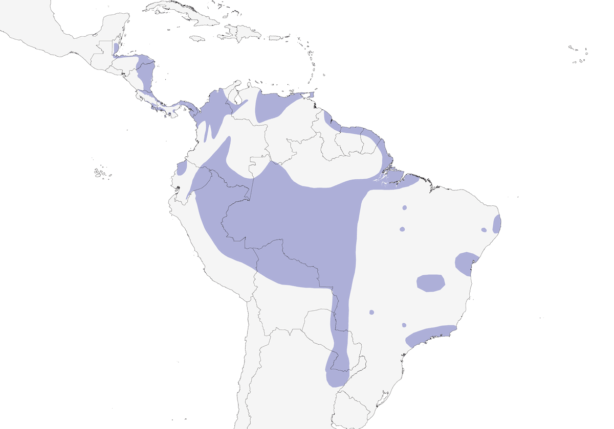 Gray-breasted Crake, Distribution 1