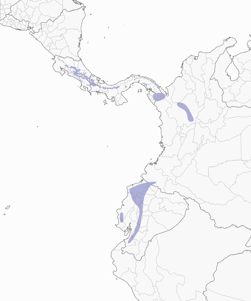 Héliodoxe jaculatrice, Distribution 1