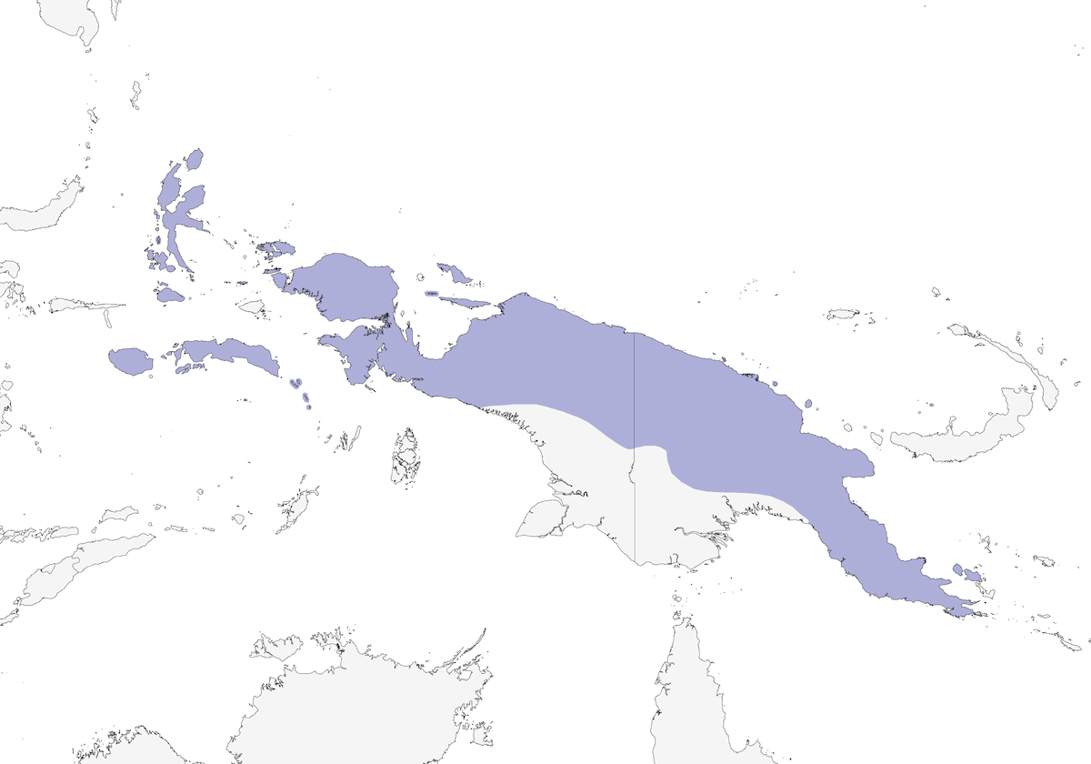 Tórtola-cuco Grande, Distribución 1