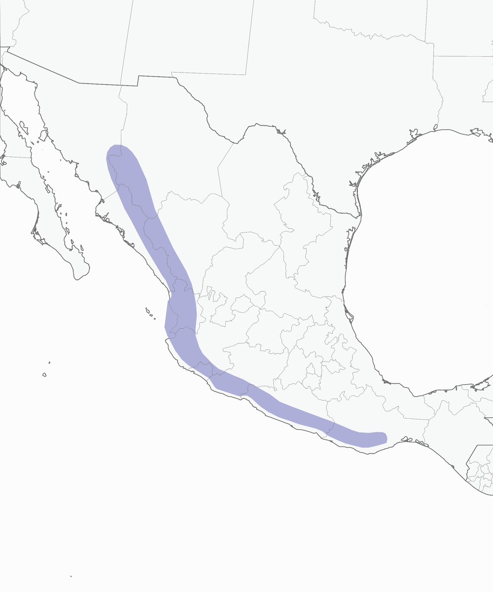 Gray-crowned Woodpecker, Distribution 1