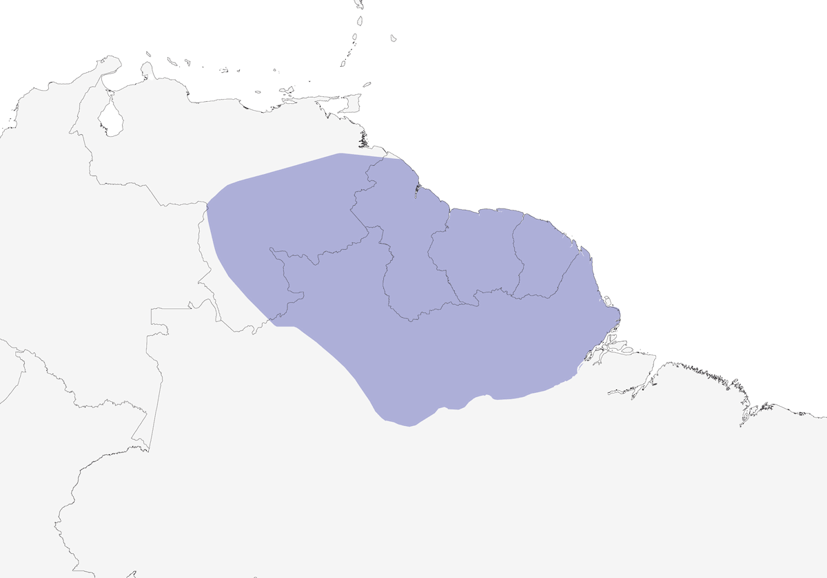 Arasarí verde, Distribución 1