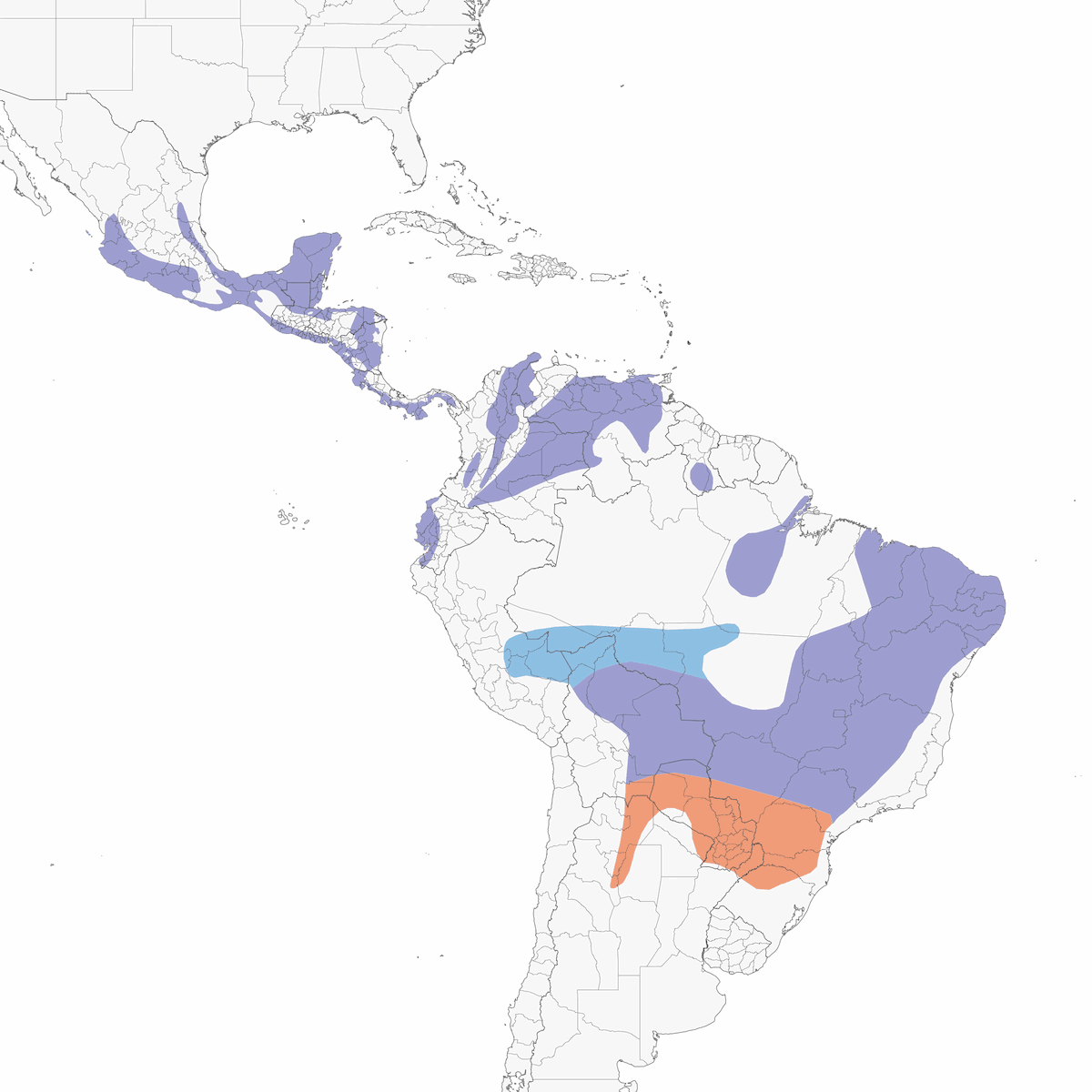 Greenish Elaenia, Distribution 1