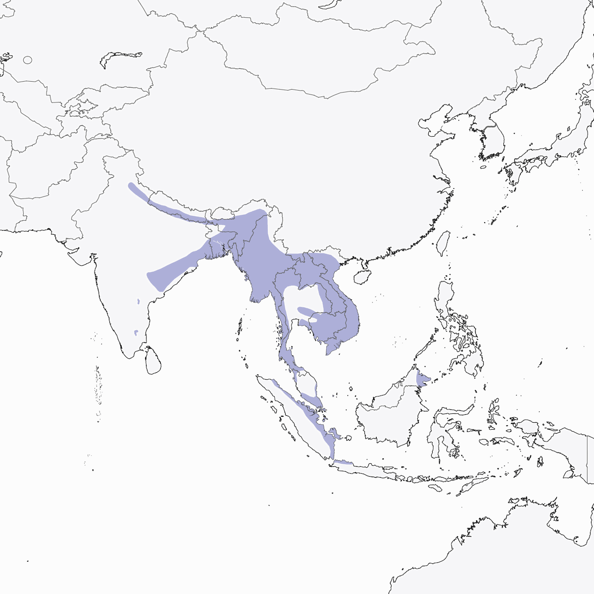 Greater Flameback, Distribution 1