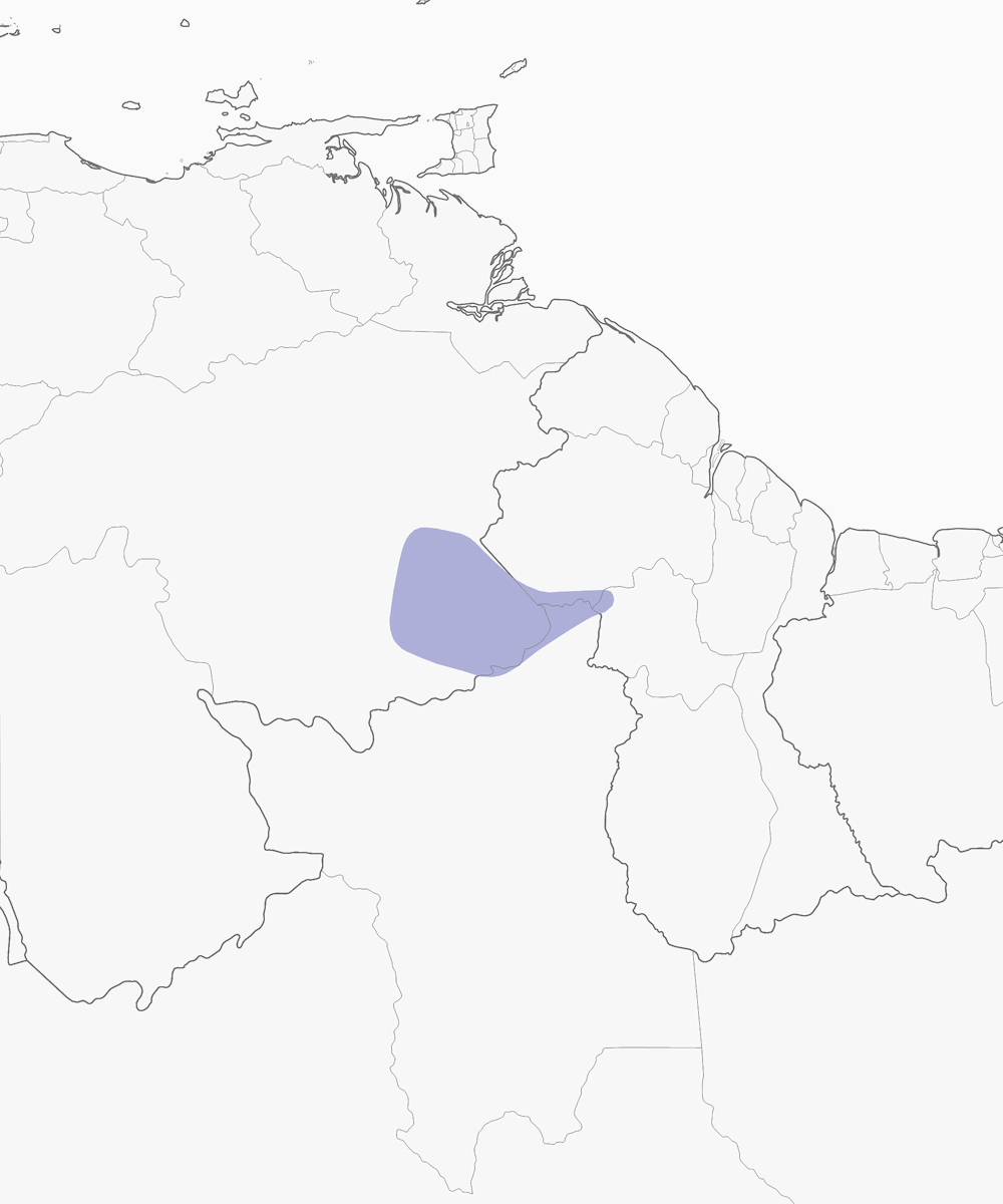 Greater Flowerpiercer, Distribution 1