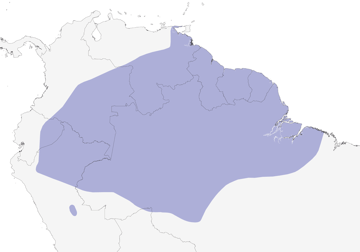 Oropendola verde, Distribuzione 1