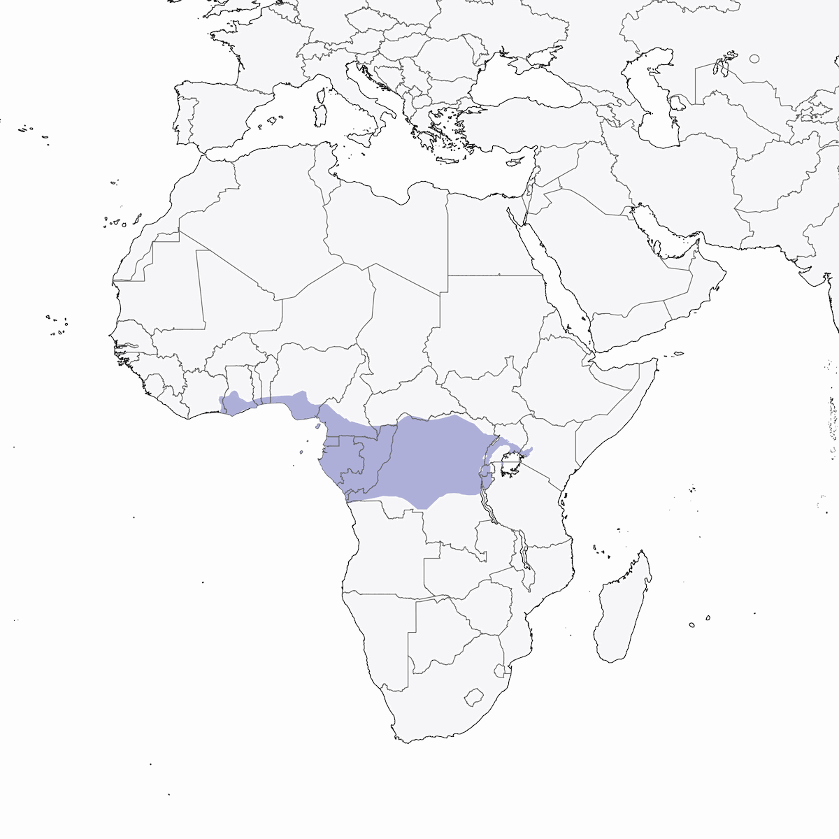 Loro Yaco, Distribución 1