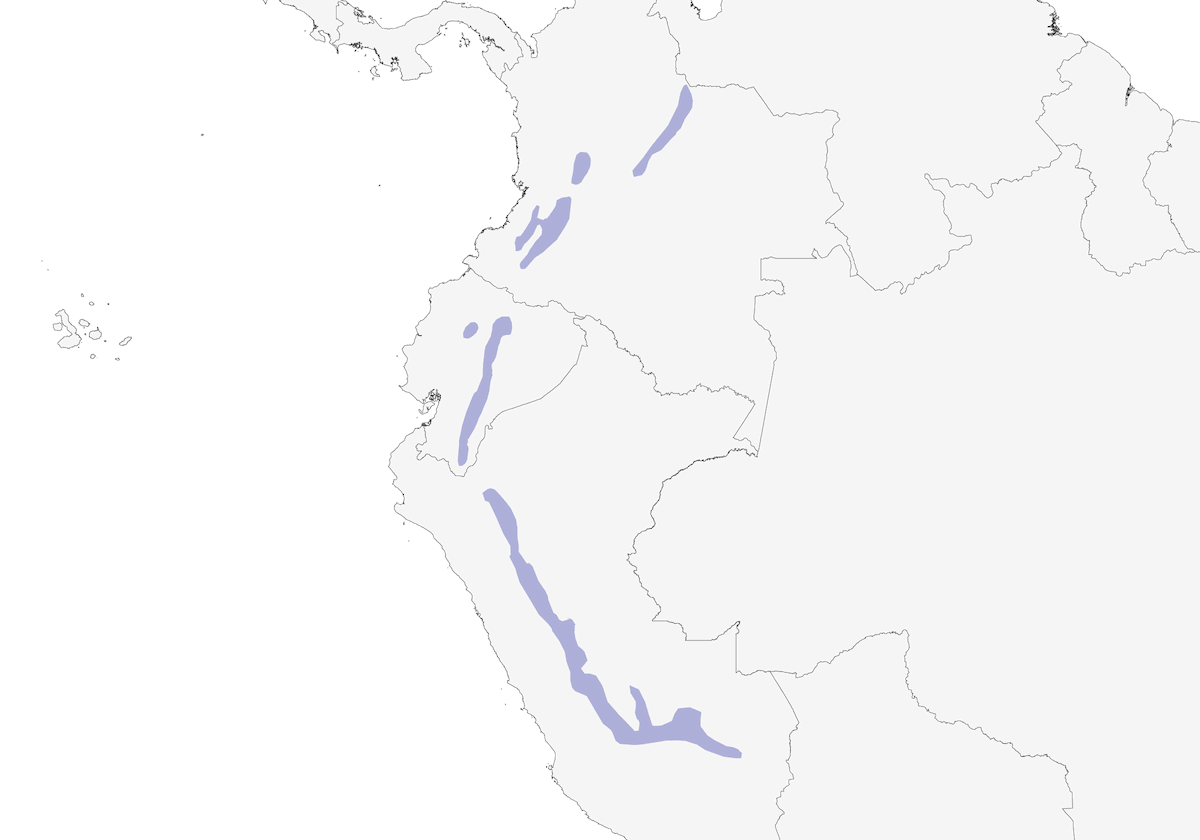 Greater Scythebill, Distribution 1