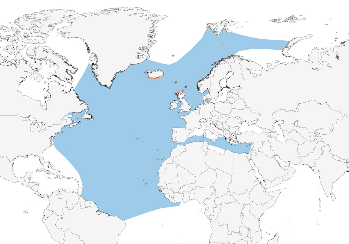 Great Skua, Distribution 1