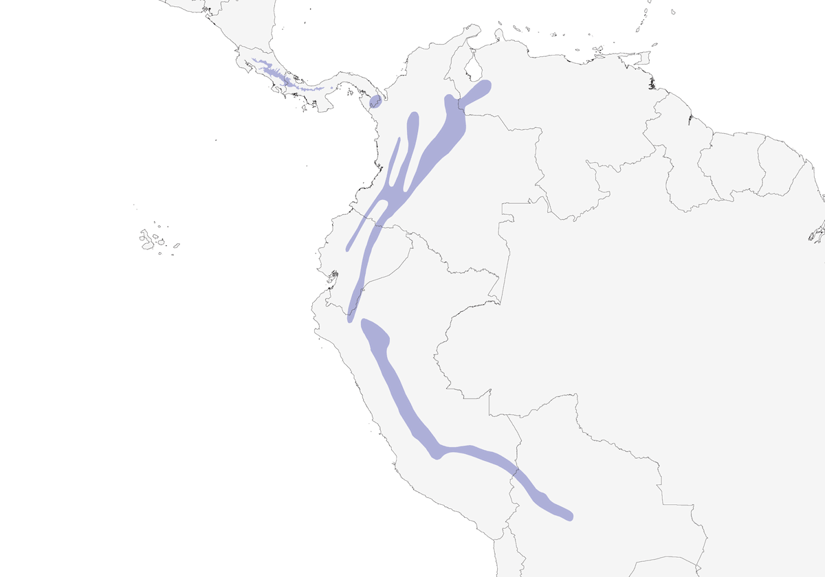 Green-fronted Lancebill, Distribution 1