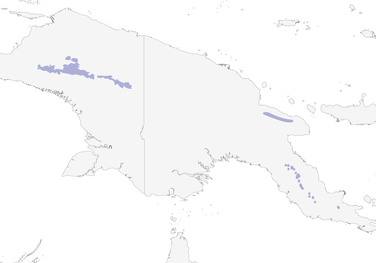 Pettirosso di terra maggiore, Distribuzione 1