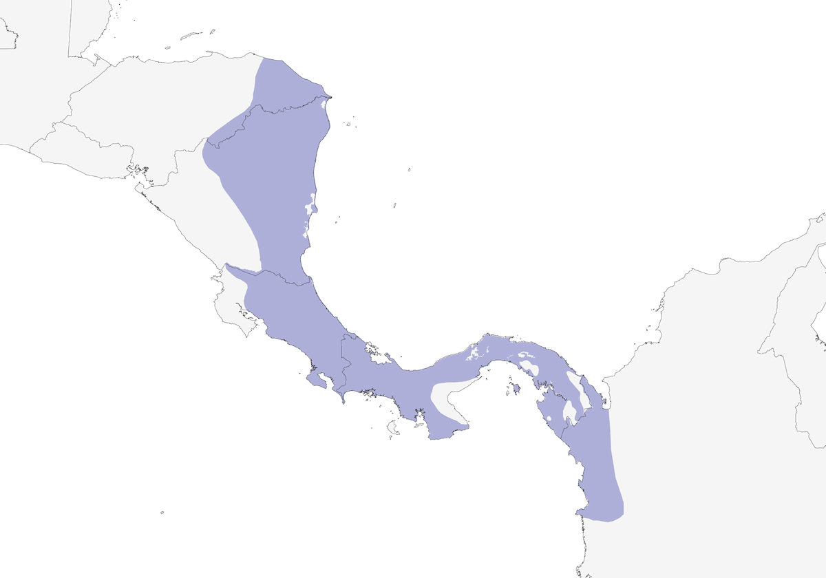 Graukopf-Chachalaca, Verbreitung 1