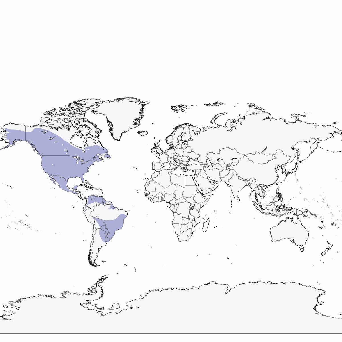 Gufo della Virginia, Distribuzione 1