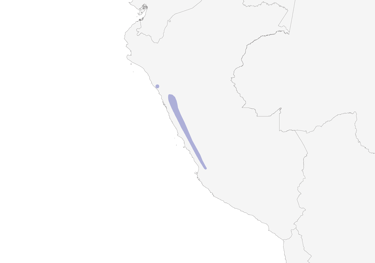 Great Inca-Finch, Distribution 1