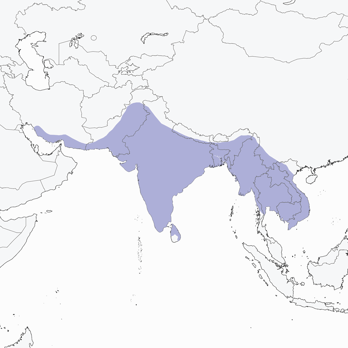 Gruccione verde asiatico, Distribuzione 1