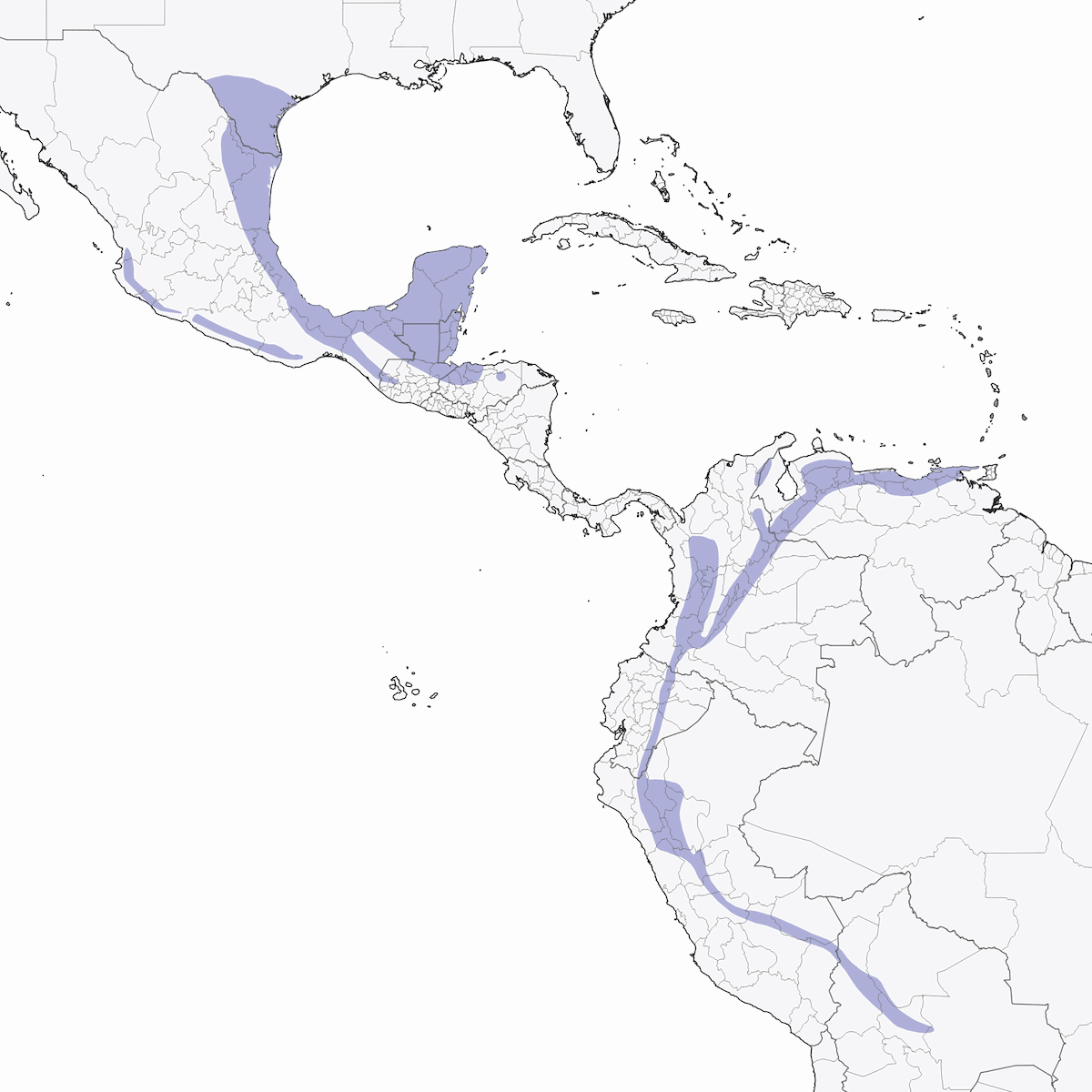 Ghiandaia verde, Distribuzione 1