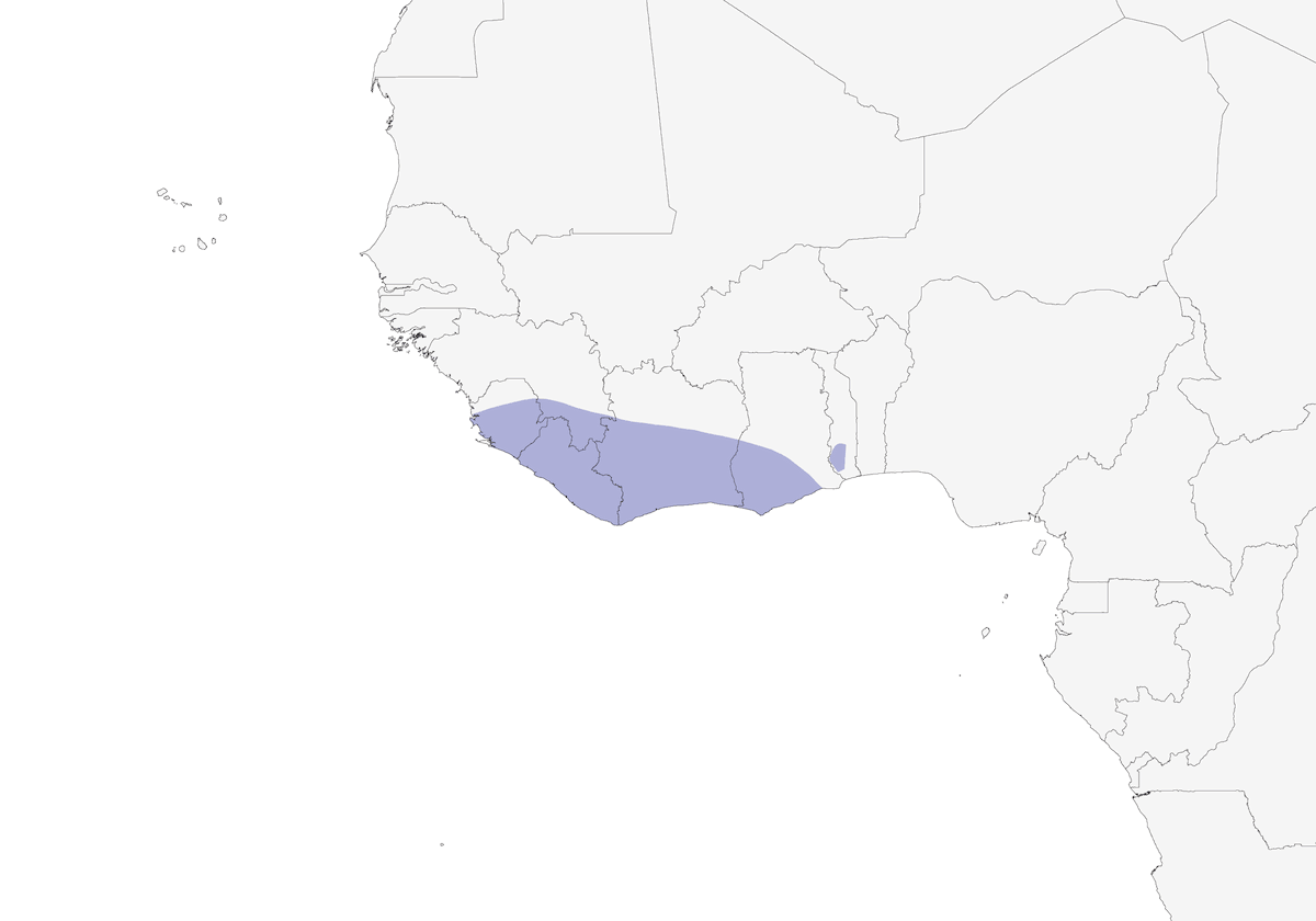 Yellow-chinned Sunbird, Distribution 1