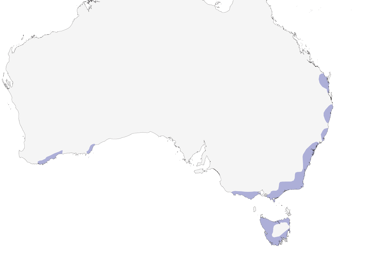Ground Parrot, Distribution 1