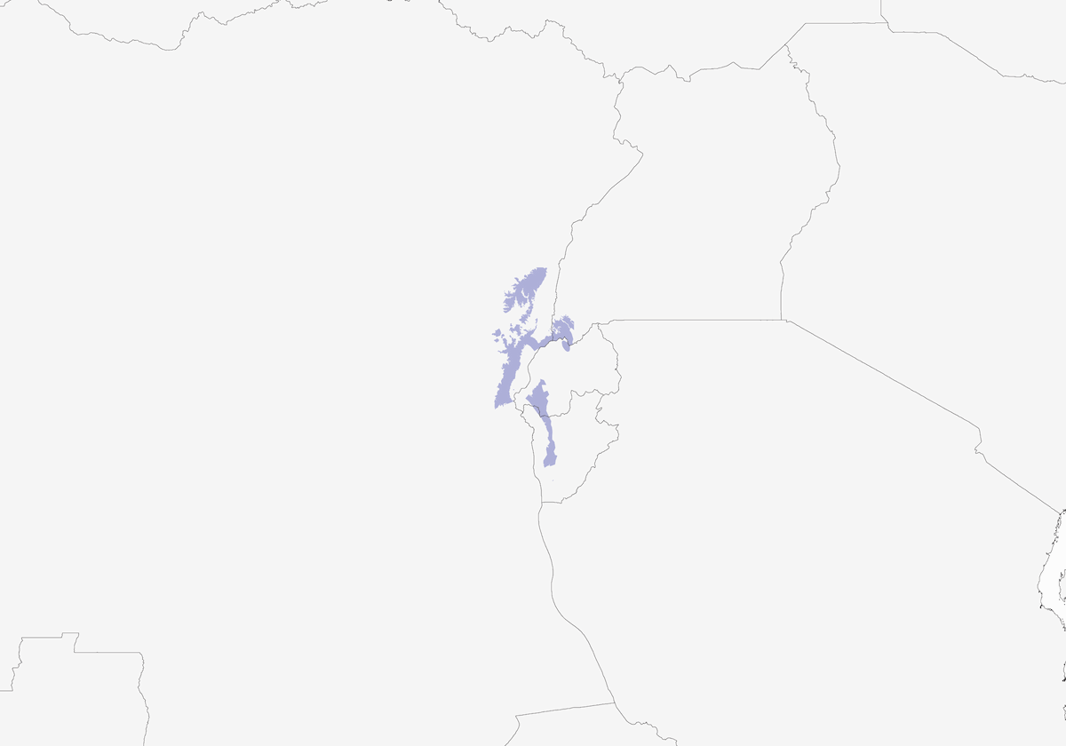 Grauer's Swamp Warbler, Distribution 1