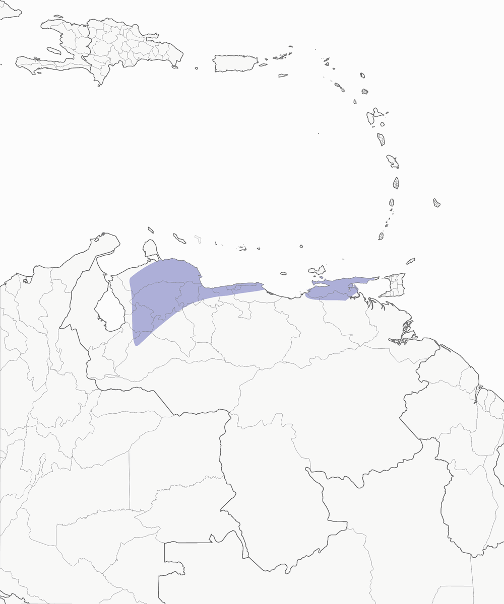 Green-tailed Emerald, Distribution 1