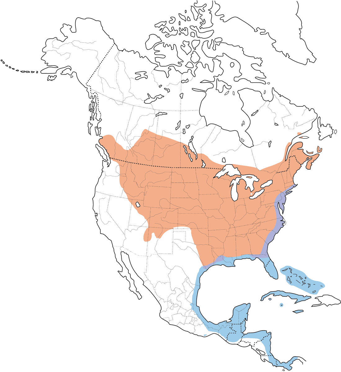 Gray Catbird, Distribution 1