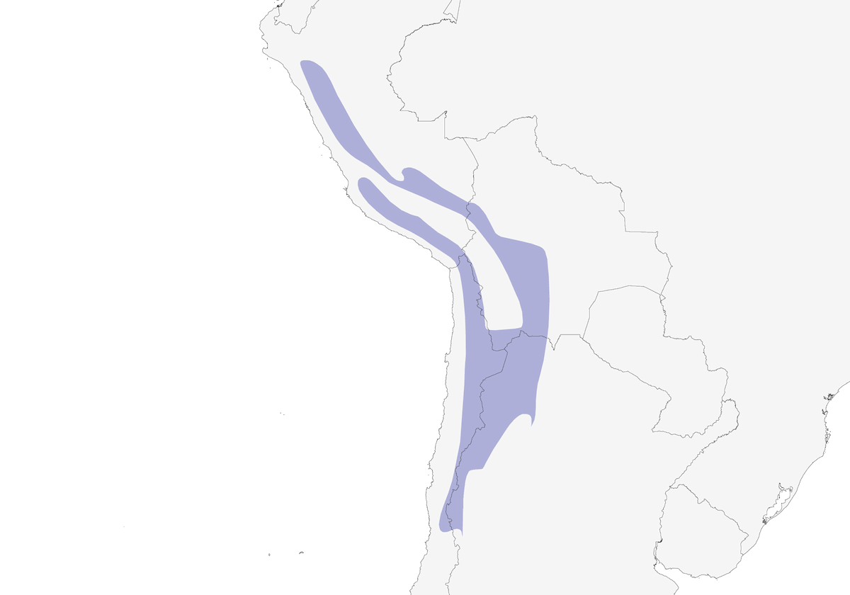 Greenish Yellow-Finch, Distribution 1