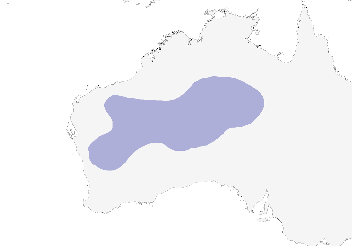 Gray Honeyeater, Distribution 1