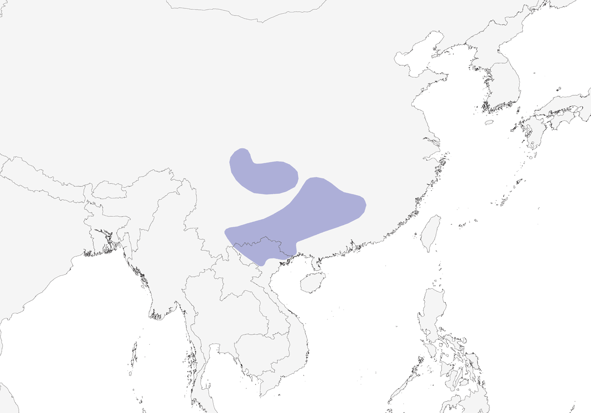 Garrulaxe gris, Distribution 1