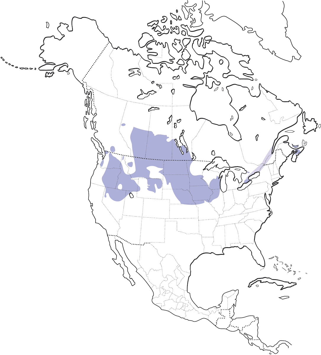 Gray Partridge, Distribution 1