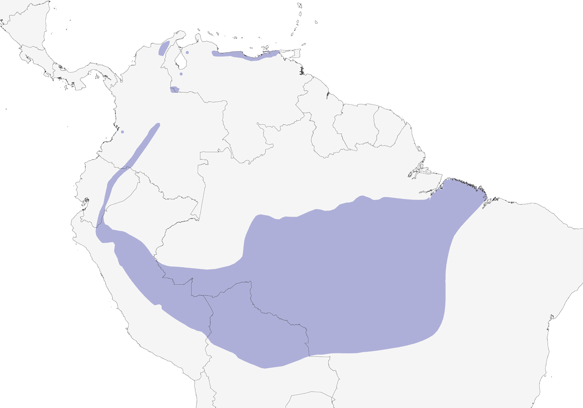 Tinamù grigio, Distribuzione 1