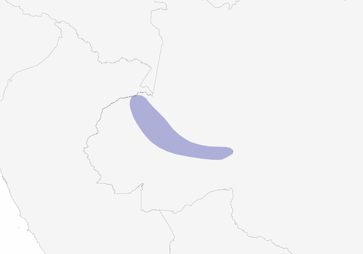 Troglodyte gris, Distribution 1