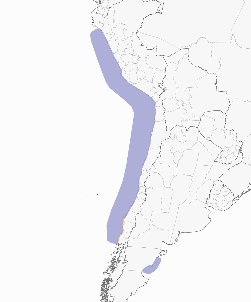 Cormorano di Guanay, Distribuzione 1