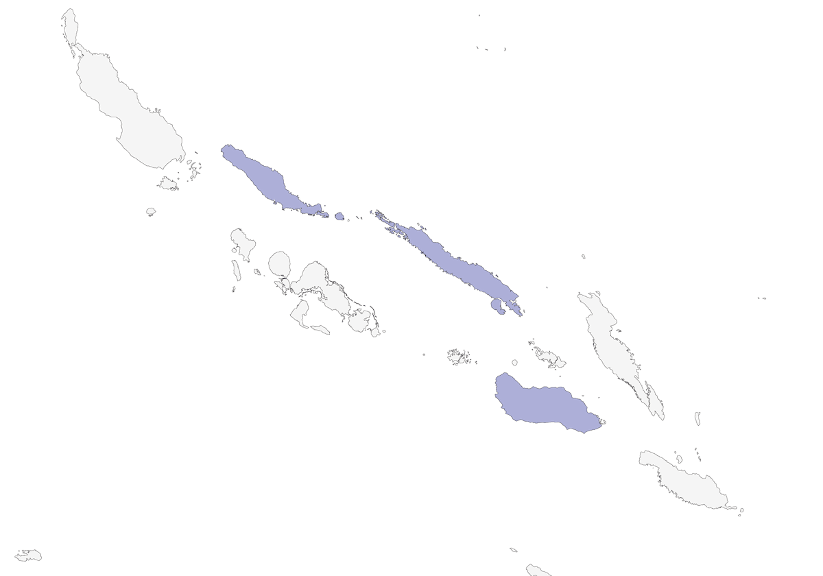 Guadalcanal Crow, Distribution 1