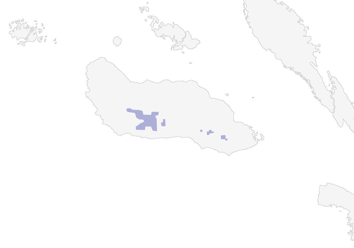 Guadalcanal Hooded Whistler, Distribution 1