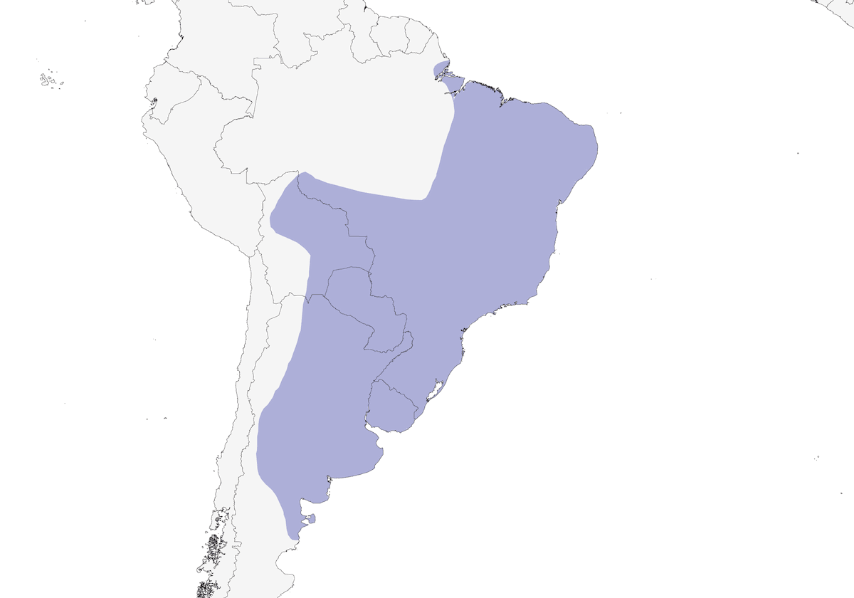 Cuco Guira, Distribución 1