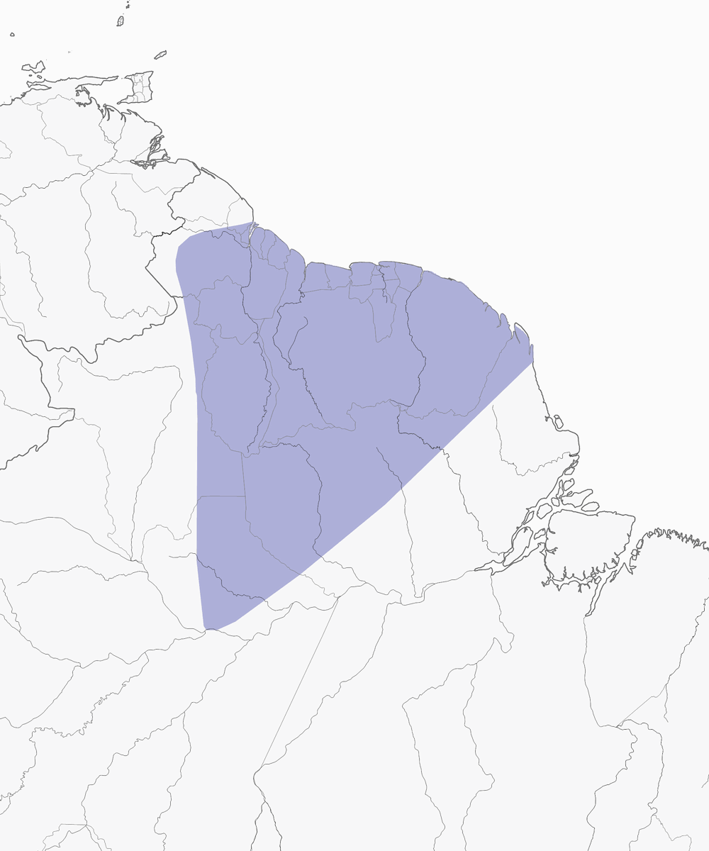 Zanzariere della Guyana, Distribuzione 1