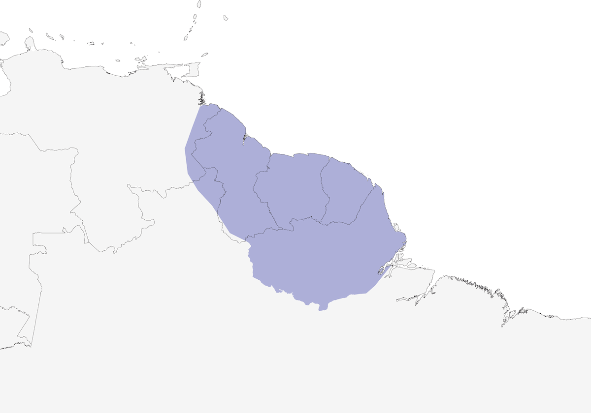 Buco Guayanés, Distribución 1