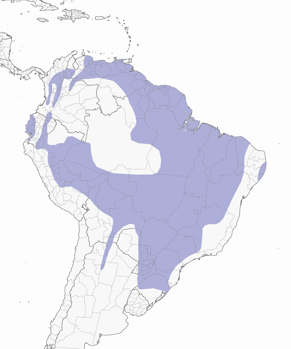 Guira Tanager, Distribution 1