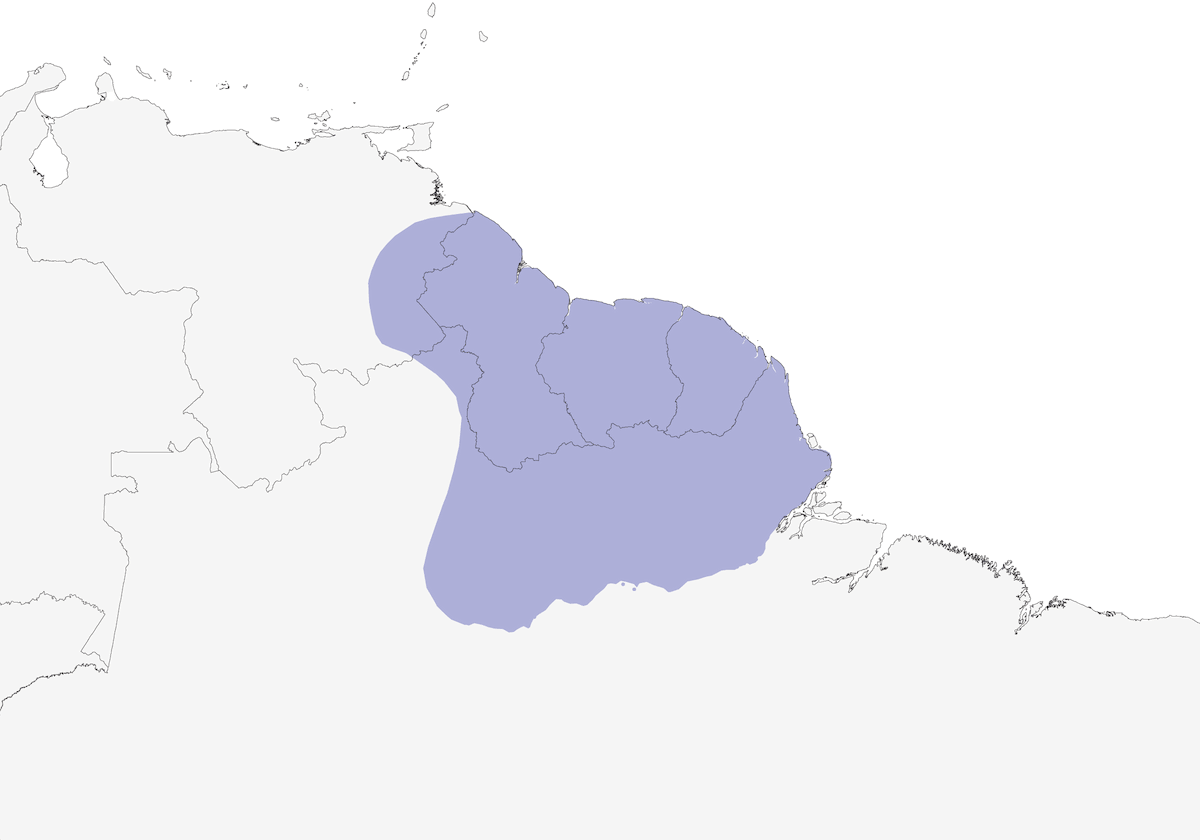 Guayana-Tukanett, Verbreitung 1