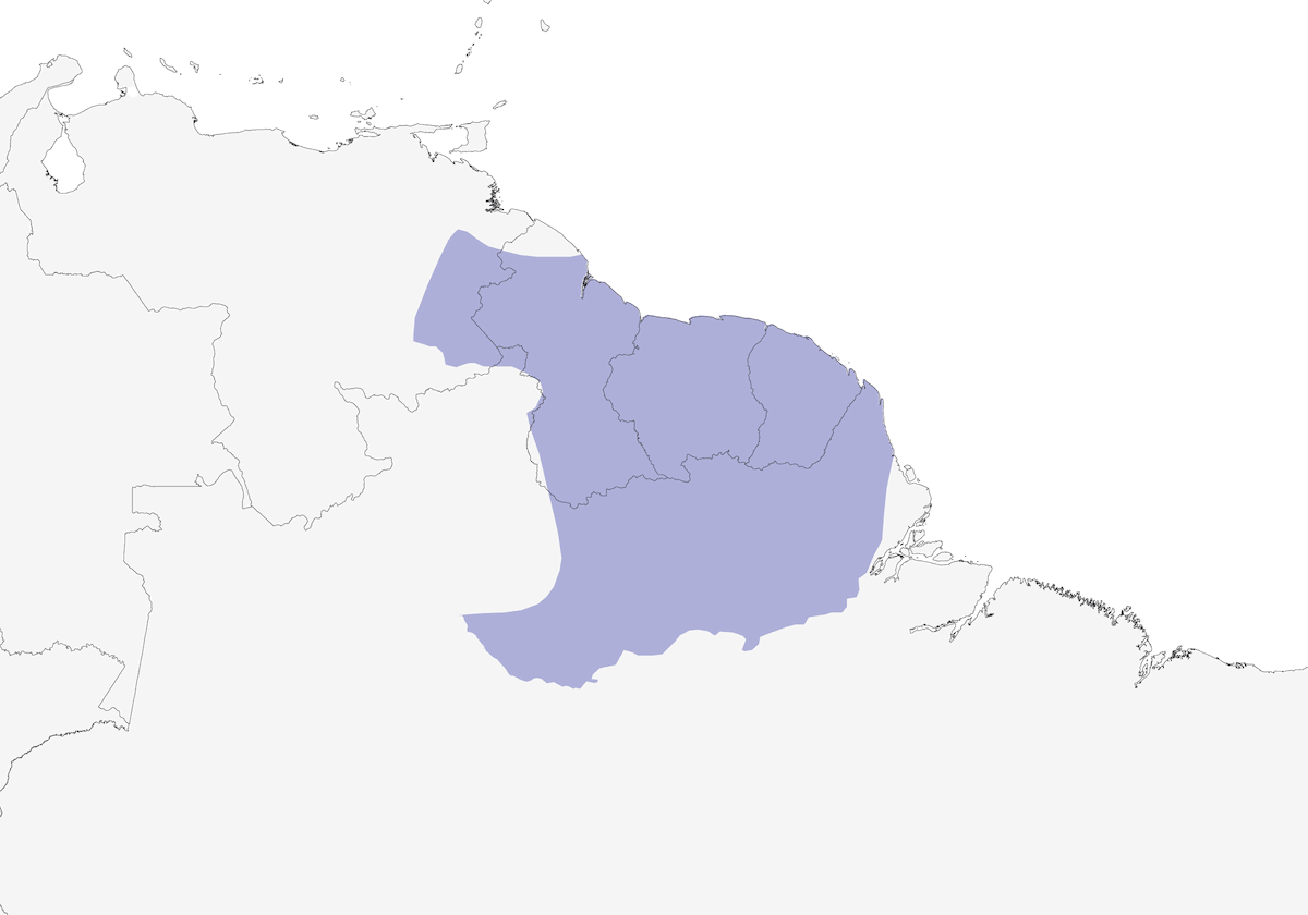 Uccello formichiero canterino della Guiana, Distribuzione 1